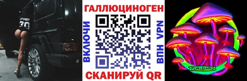 где продают   Тулун  Псилоцибиновые грибы MAGIC MUSHROOMS 